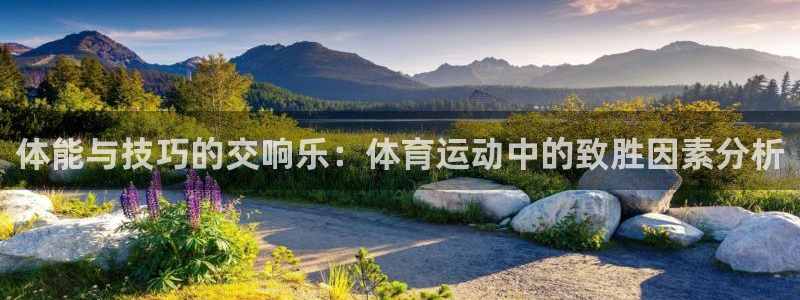意昂2招商