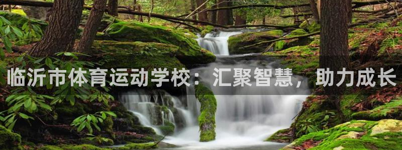 意昂24平台注册