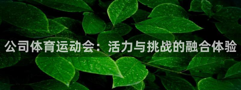 意昂2集团股票