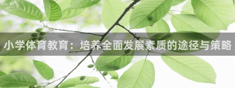 意昂官网注册