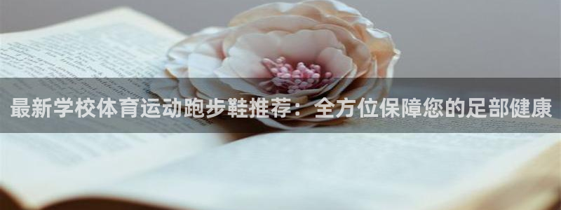 意昂2体育平台总代理