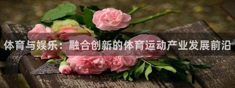 意昂2体育用品
