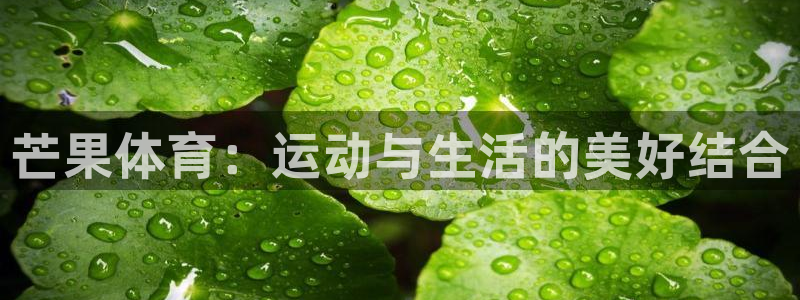 意昂24注册