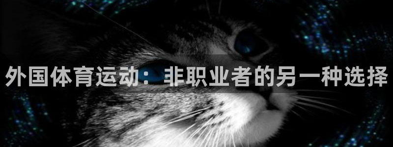 意昂2体育游戏