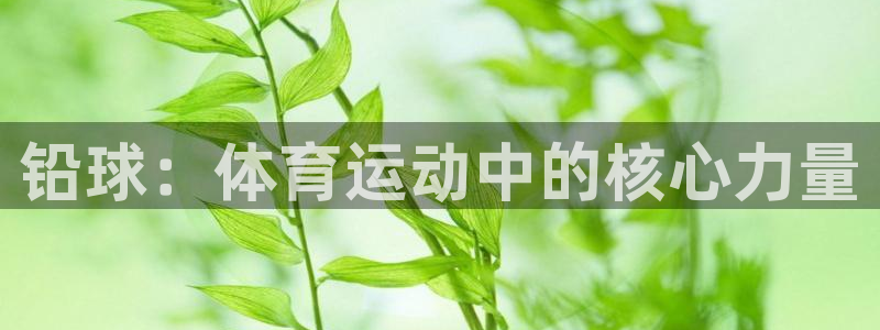 意昂4平台注册