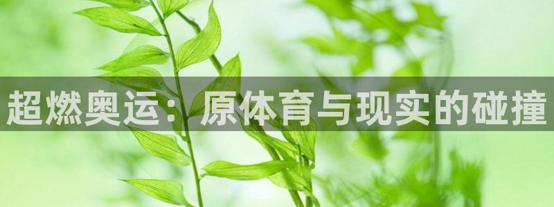 意昂2主管