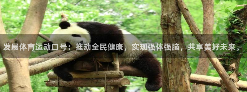 意昂4官网