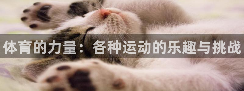 意昂新能源汽车科技有限公司