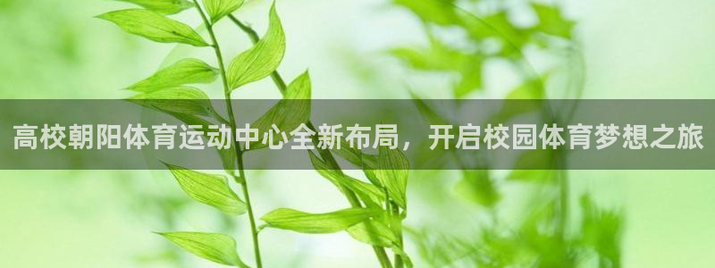 意昂2代理注册