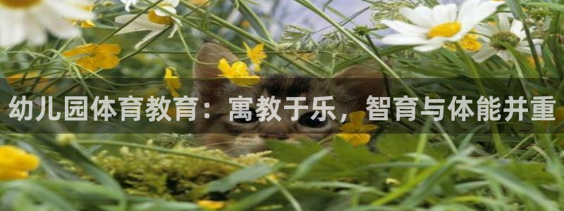 意昂23登陆