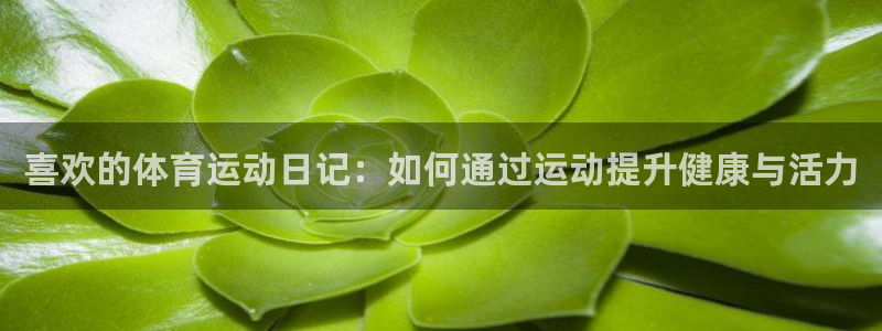 意昂2体育注册代理