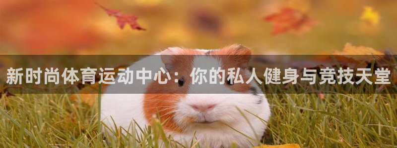 意昂23官网